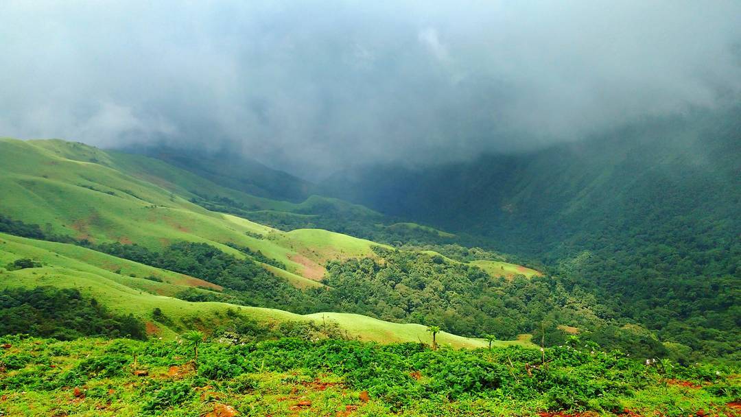 Manipal to Chikmagalur Coffee Plantation Tour Package