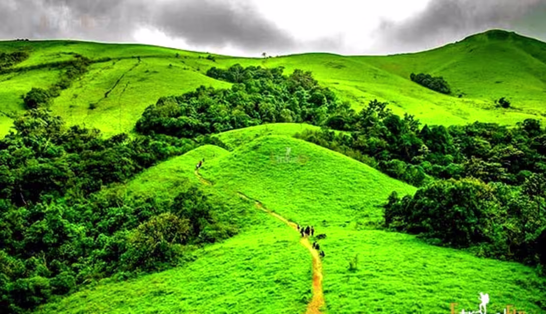 Manipal to Kodachadri Peak Cab Package - Outstation Taxi